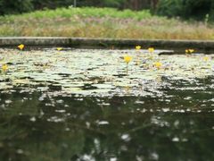 -黑龙江省森林植物园