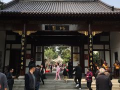 -南汇桃花村