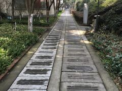 -上海市保健医疗中心(华东疗养院)