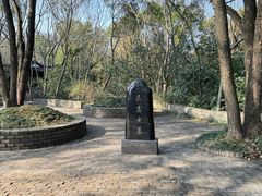 -上海佘山国家森林公园天马山园