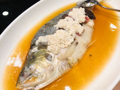 -新南华大酒店(长寿店)