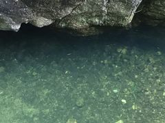 -牛背梁国家森林公园