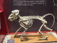 -国家自然博物馆