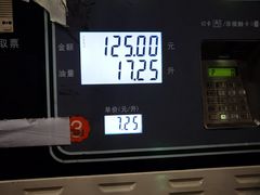 -中国石油加油站(严桥路站)