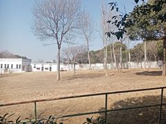 -合肥野生动物园