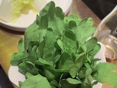 -南门四季铜锅涮肉(大屯·北苑店)