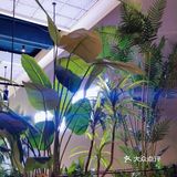 金泰兰吃泰国菜