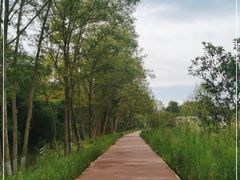 -桤木河湿地公园