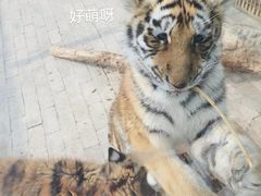 -临沂动植物园