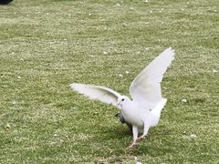 -白鹭洲公园