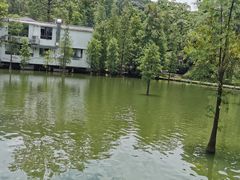 -桃花涧