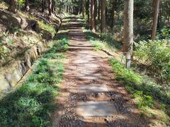 -四明山国家森林公园