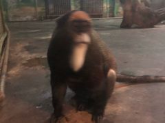 -西安秦岭野生动物园