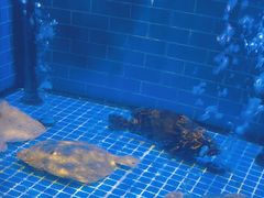 -简家·海鲜盛宴(下沙店)