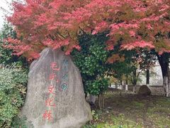 -清漾毛氏文化村