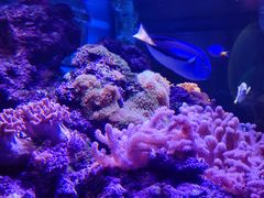 -上海海昌海洋公园