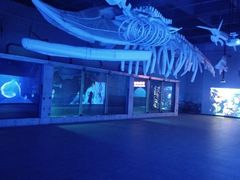 -北戴河圣蓝海洋公园