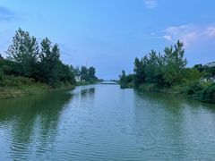 -盐城丹顶鹤湿地生态旅游区