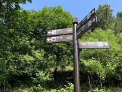 -香山公园
