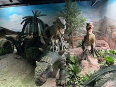 -国家自然博物馆