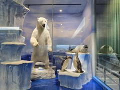 -国家自然博物馆