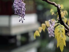 -郭庄景区