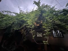 -小雅青年旅舍(平江路店)