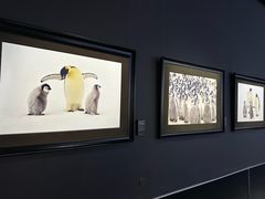 -罗红摄影艺术馆