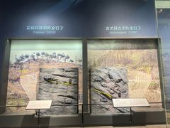 -湖南省地质博物馆