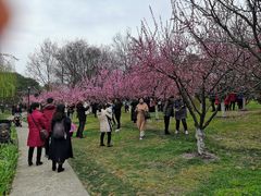 -堤角公园