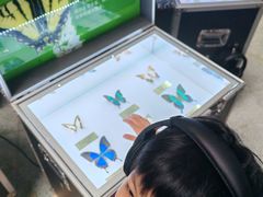 -东莞市科学技术博物馆