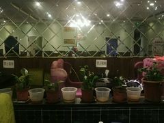 -筋头巴脑牛一锅(朝阳路总店)