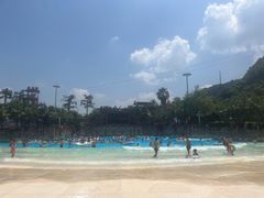 -重庆海昌加勒比海水世界