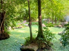 -深圳国际园林花卉博览园