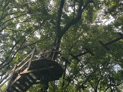 -WeLope紫金山探险公园