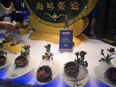 -海鼎荟海鲜姿造(晋江宝龙店)