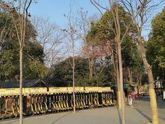 -合肥野生动物园