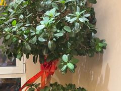 -二分八云雁阁•新晋菜大同味(长治路店)