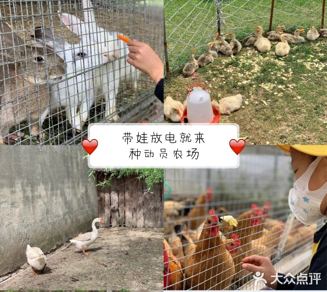 带娃放电就来种动员农场[加油]