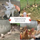 带娃放电就来种动员农场[加油]