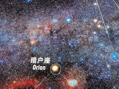 -贝林大翅鲸简餐厅(国家海洋博物馆店)