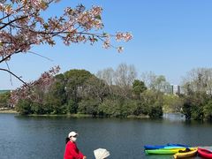 -新江湾城公园