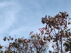 -北京西山国家森林公园