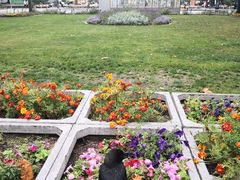 -札幌电视塔