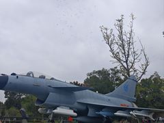 -成飞公园