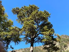 -北京上方山国家森林公园