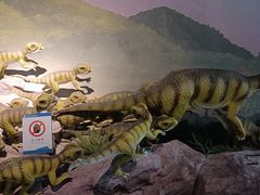 -锤头鲨毛肚海鲜烤肉自助餐厅(国购广场店)