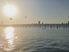 -星海广场