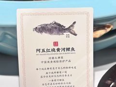 -阿五黄河大鲤鱼(英协路店)