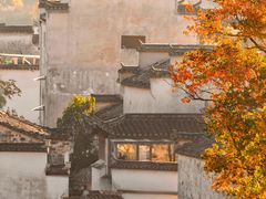 -塔川景区